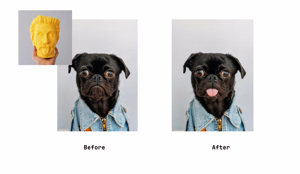 Change pet‘s expression